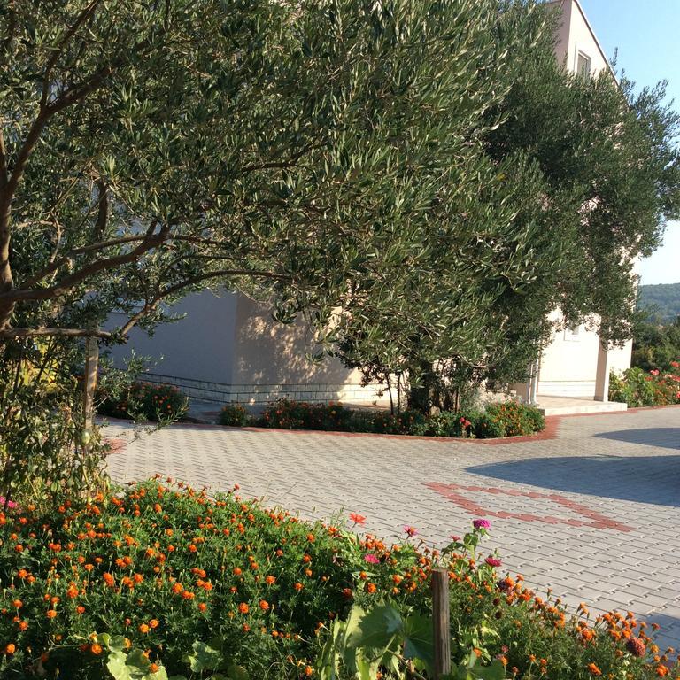 Apartments Franov Bibinje Εξωτερικό φωτογραφία