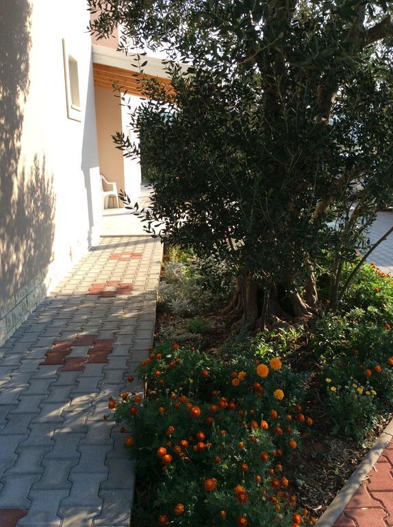 Apartments Franov Bibinje Εξωτερικό φωτογραφία